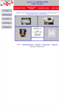 Mobile Screenshot of ngc-inc.com